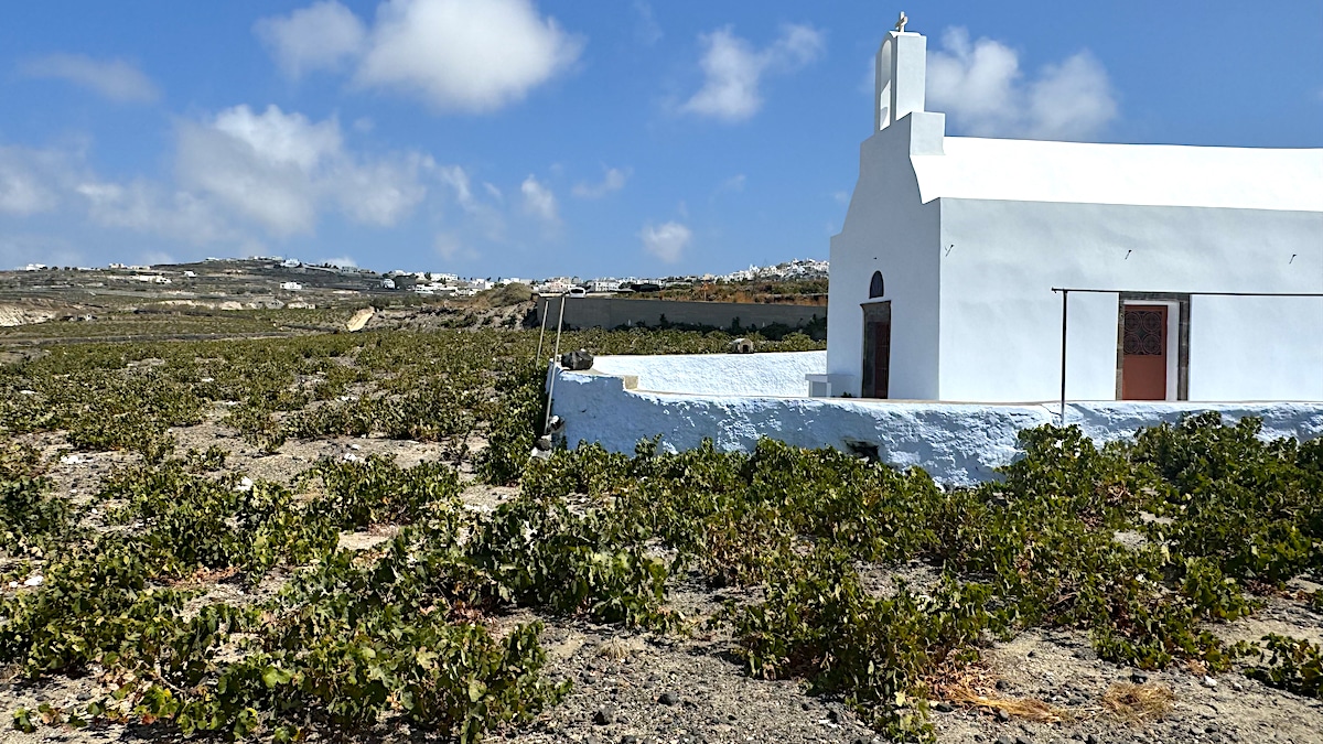 Santorini bağı.