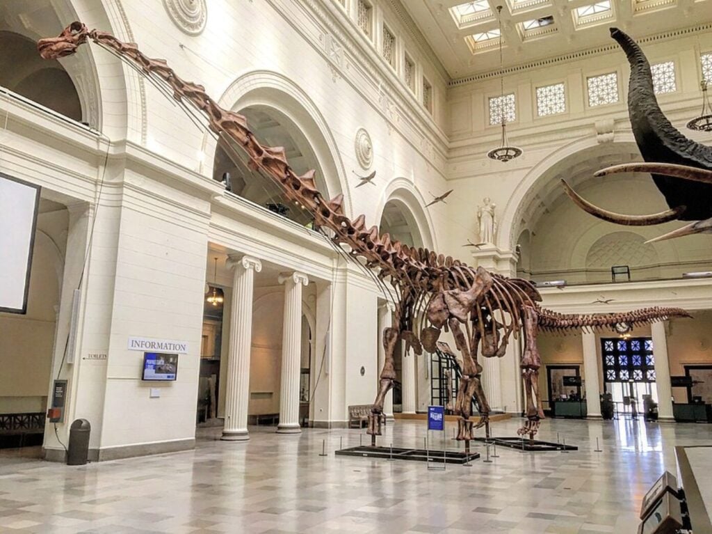 Patagotitan, şimdiye kadar yaşamış en büyük dinozor.