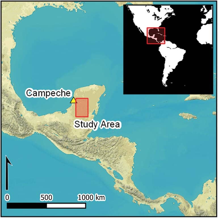 Meksika'nın Campeche kentinde yakın zamanda keşfedilen antik Maya şehri Valeriana'nın çalışma alanı