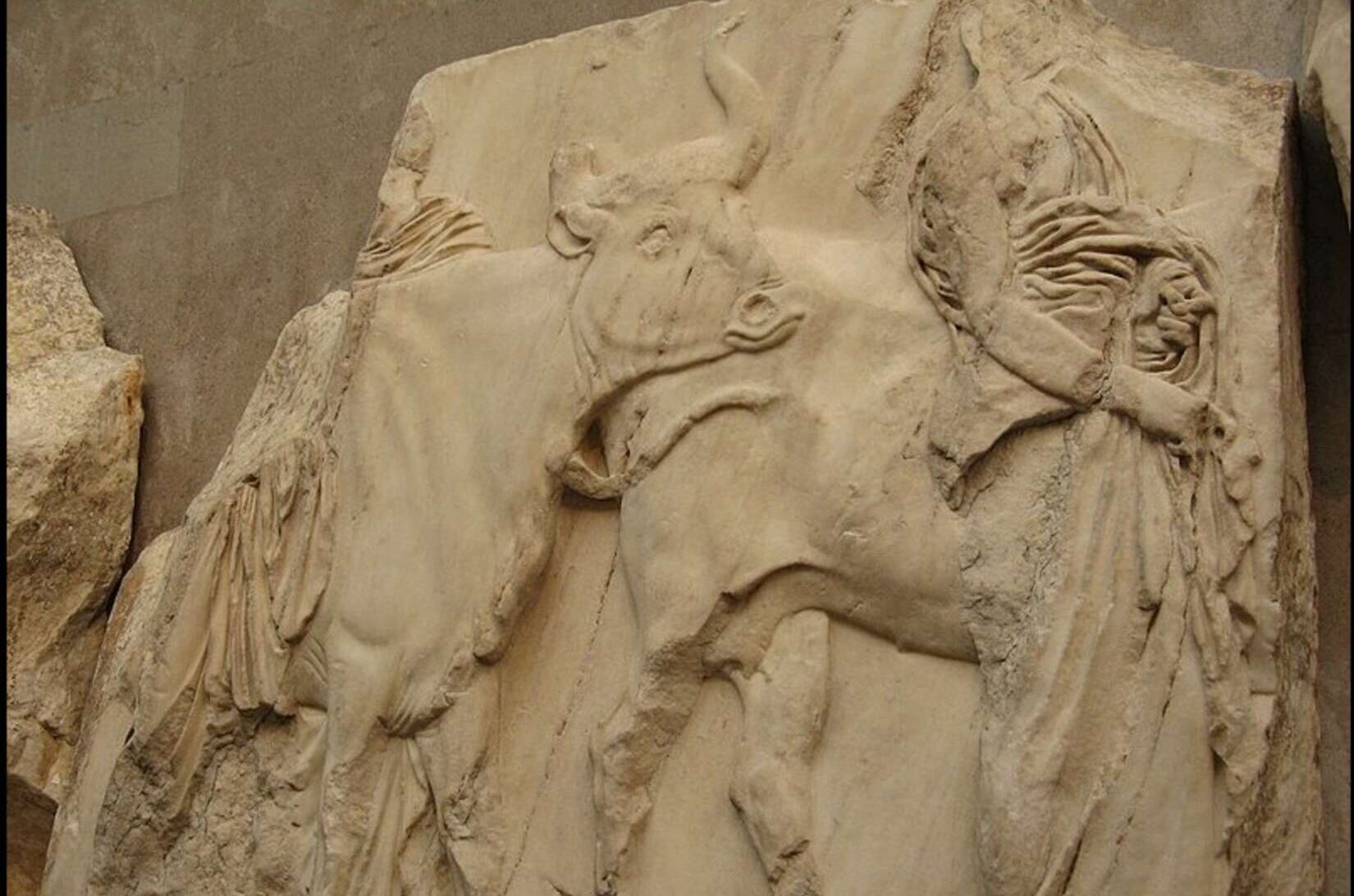 Parthenon'dan kurbanlık bir öküzün mermer heykeli.